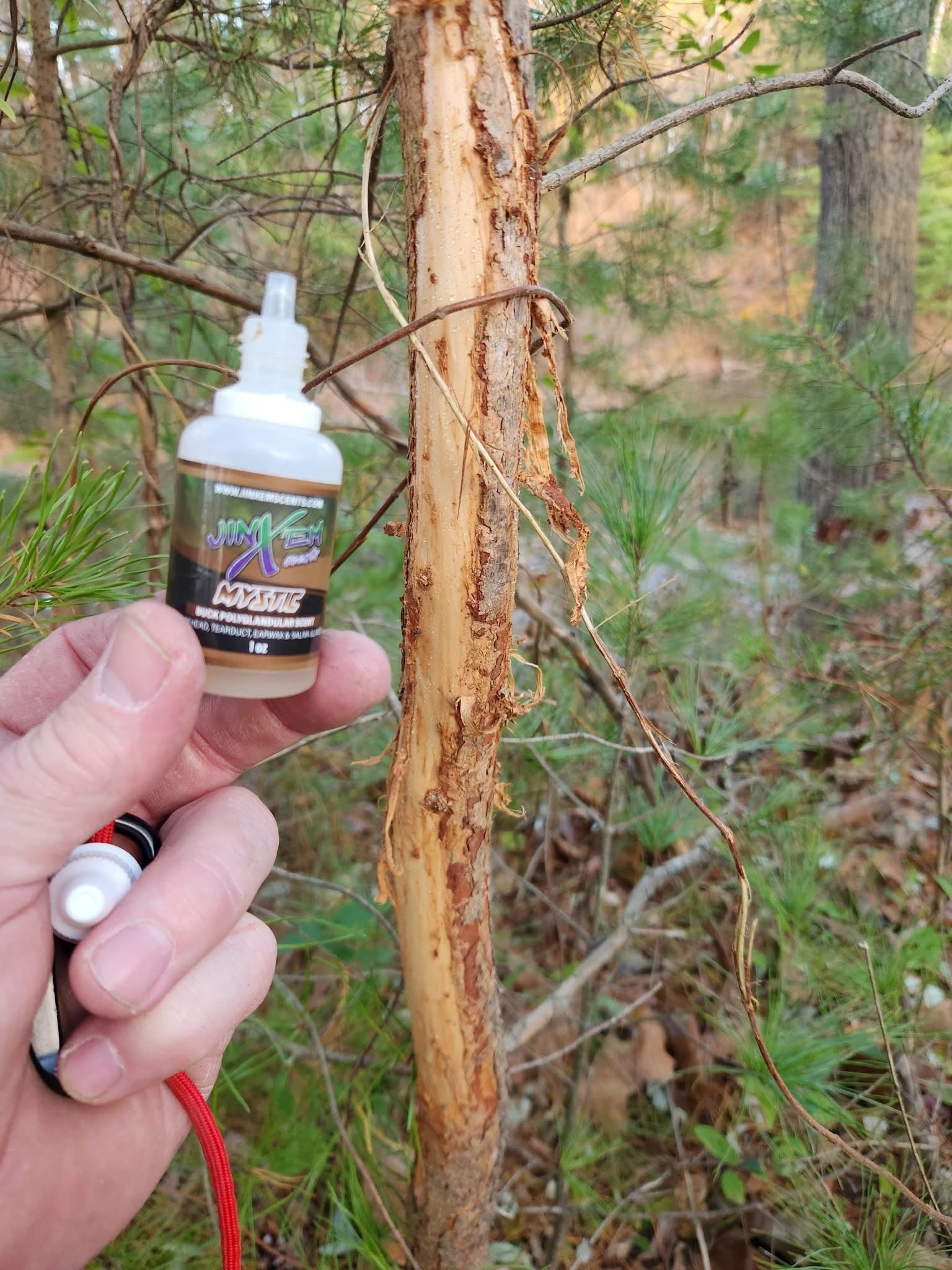 Mystic Polyglandular Gland Scent