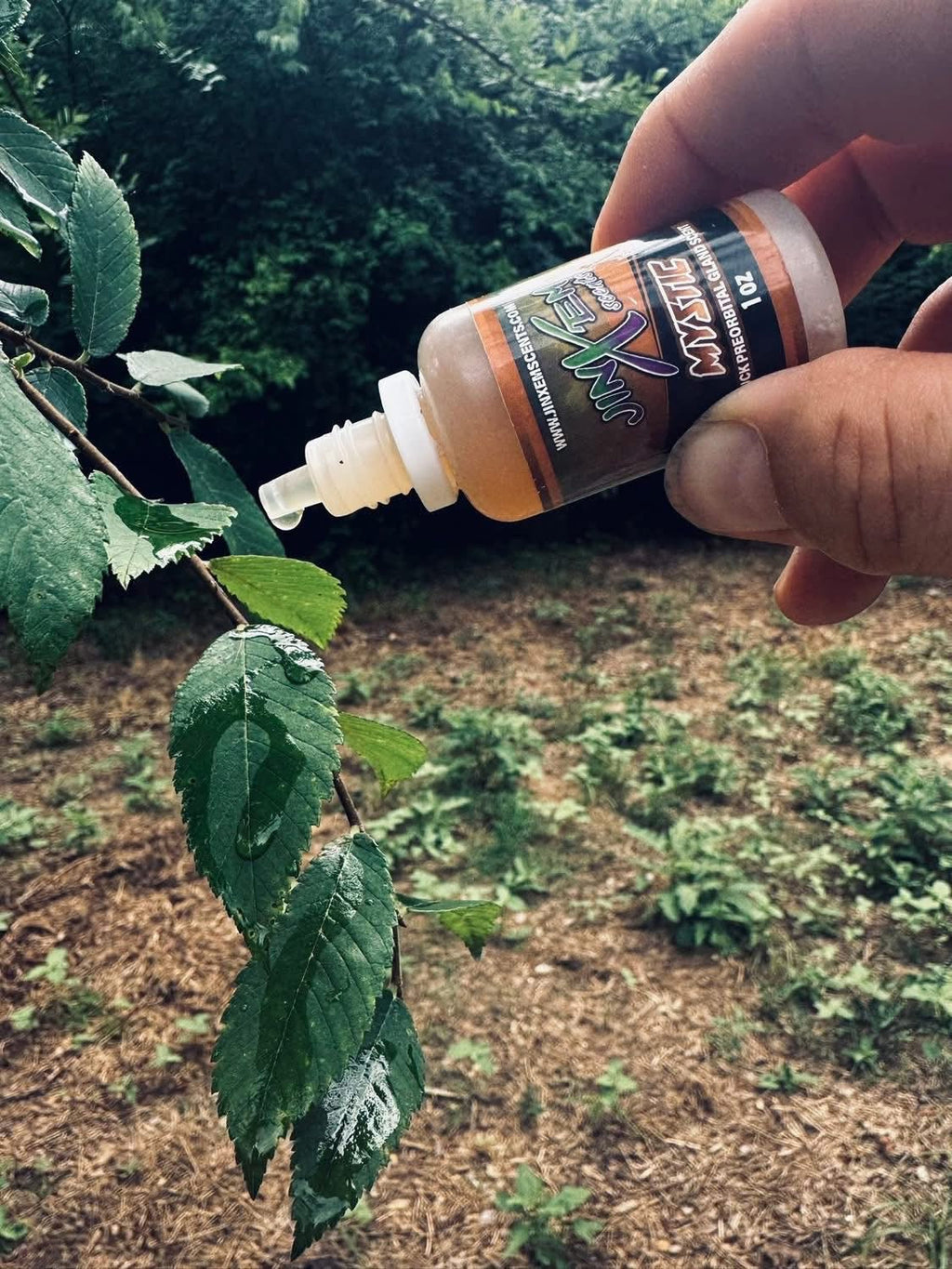 Mystic Polyglandular Gland Scent