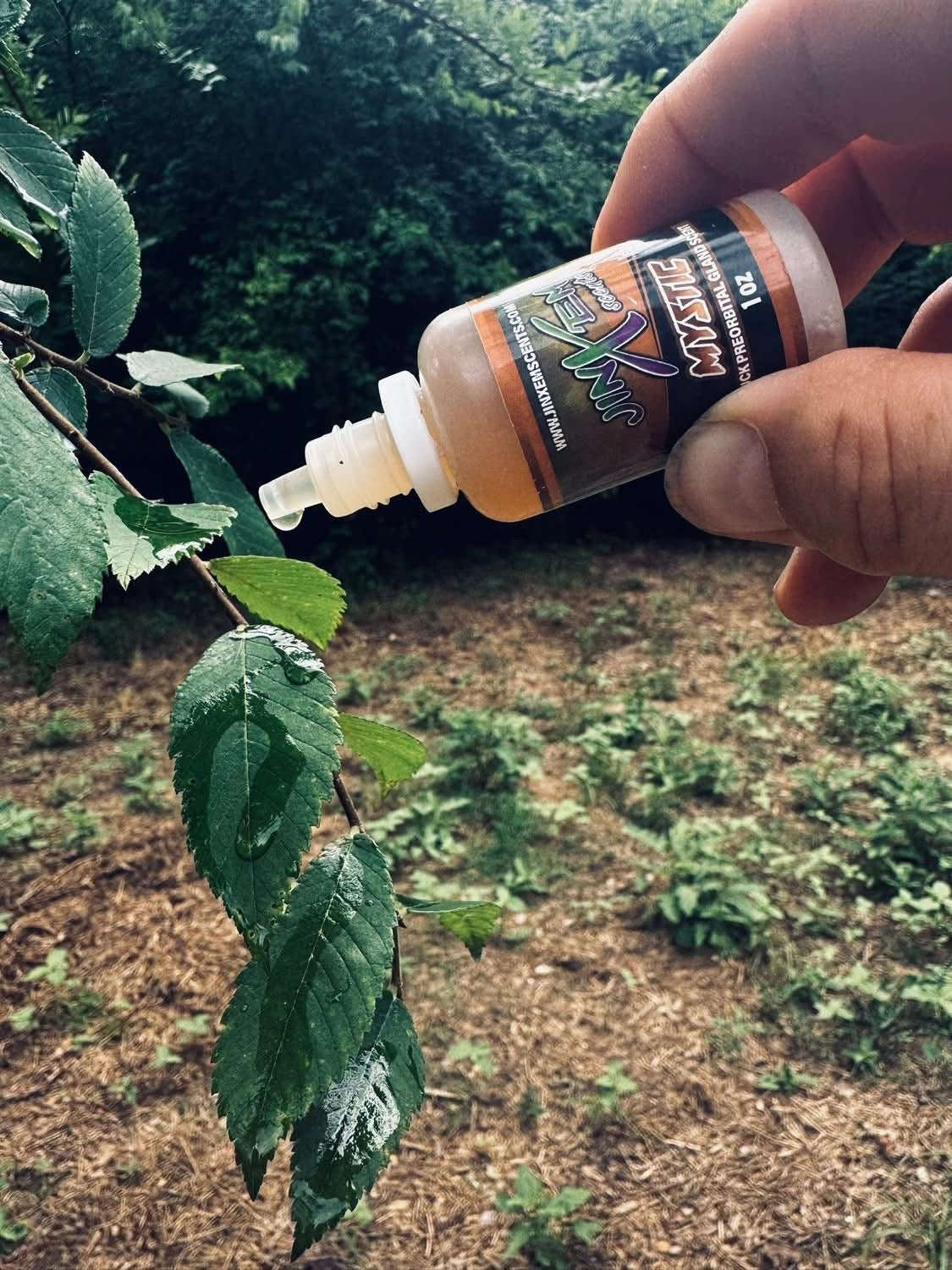 Mystic Polyglandular Gland Scent