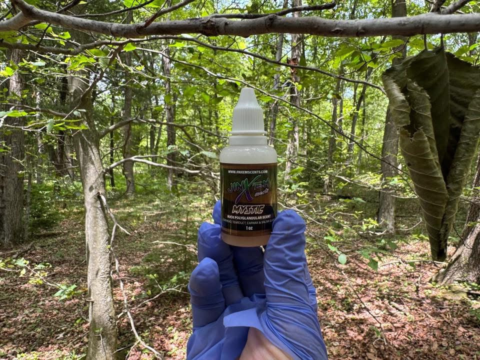 Mystic Polyglandular Gland Scent