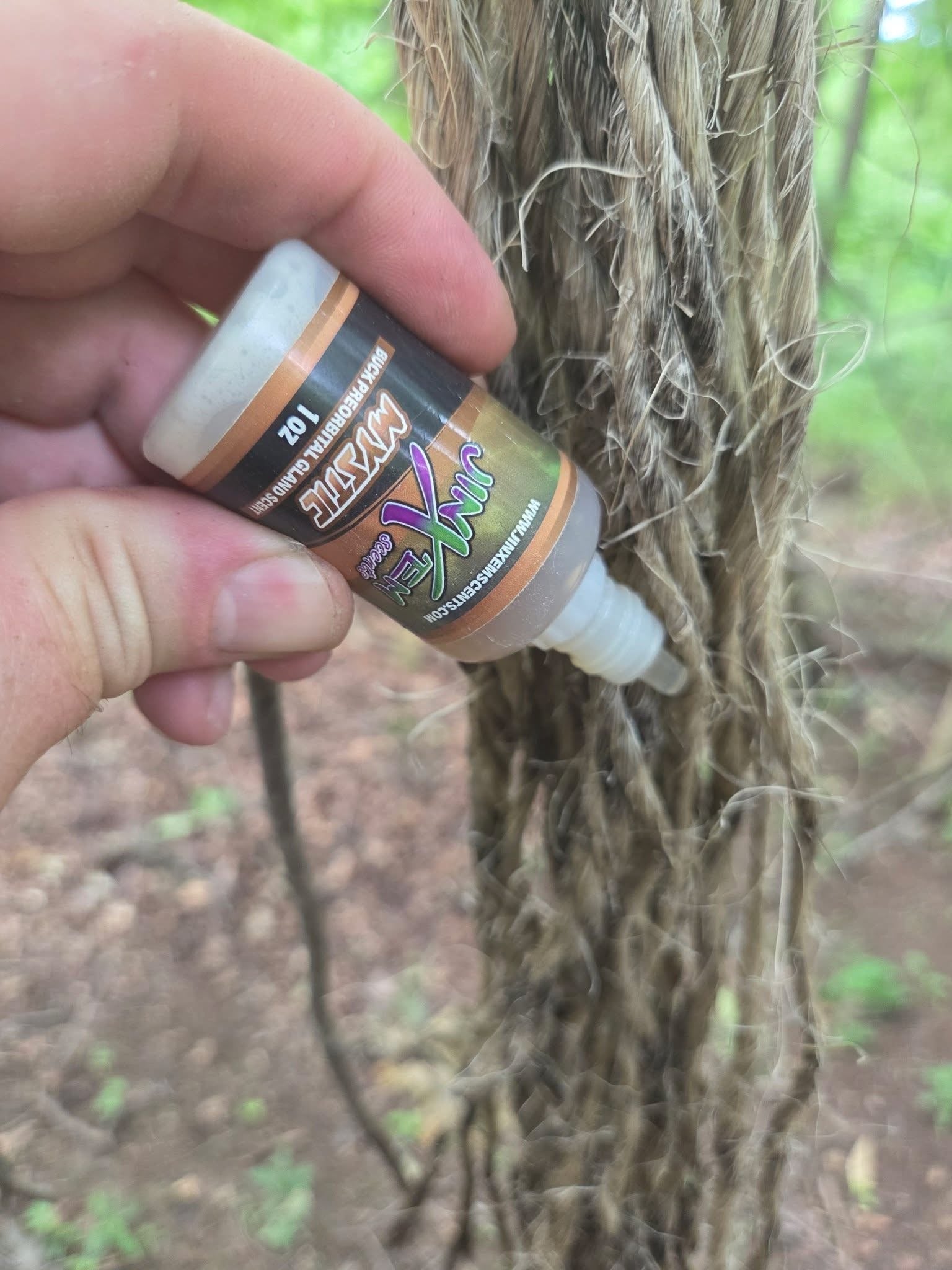 Mystic Polyglandular Gland Scent