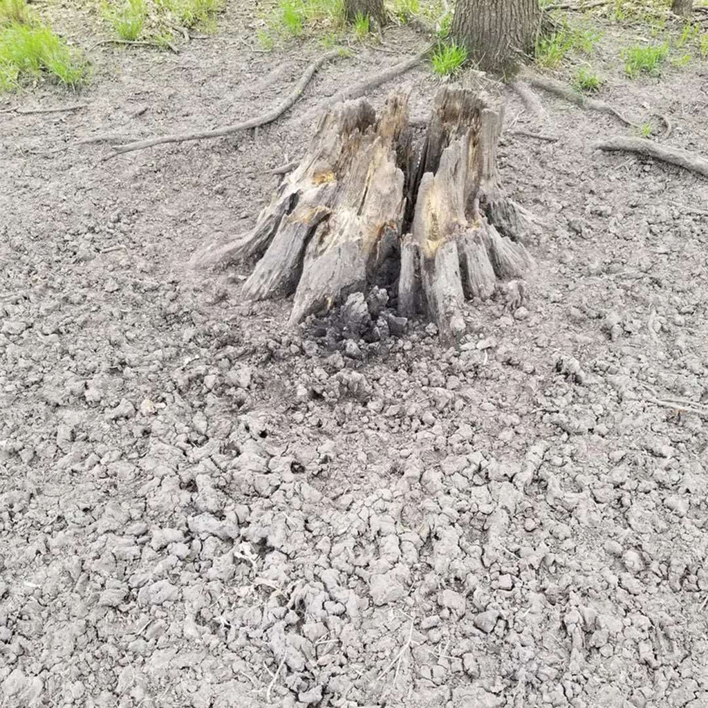 Deer Mineral Site Jinx'em Scents