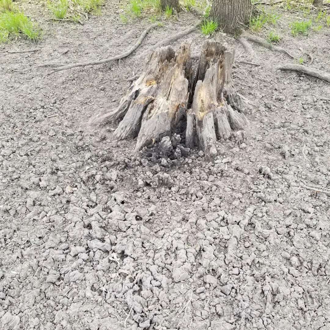 Deer Mineral Site Jinx'em Scents
