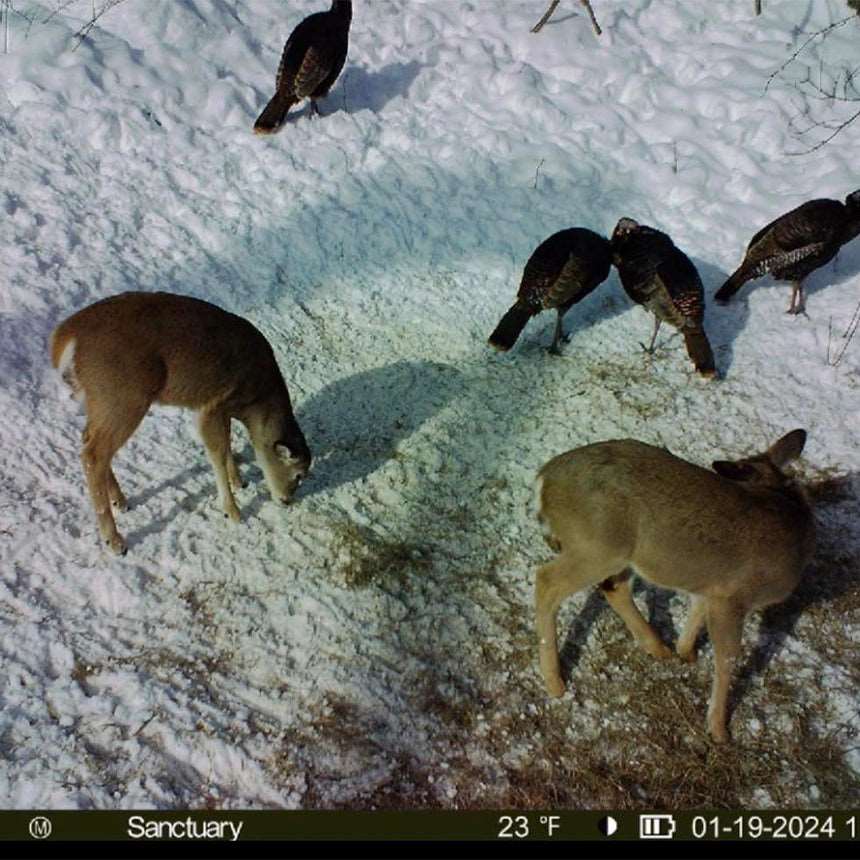 Munchies Deer Feed Jinx'em Scents